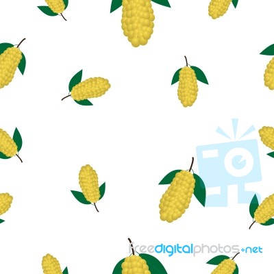 Seamless Pattern With Langsat  Illustration Stock Image