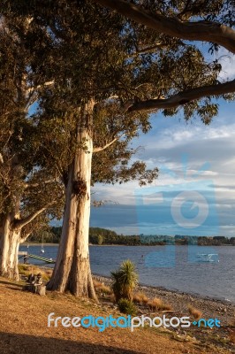 Seaplane Moored At Lake Te Anau Stock Photo