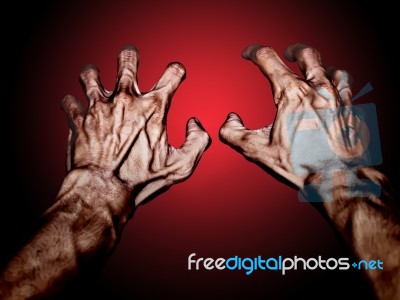 Sear Hands Stock Photo