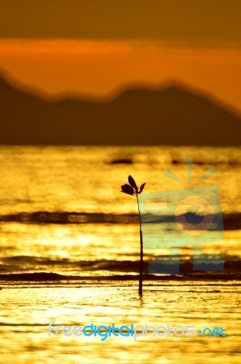 Seascape Stock Photo