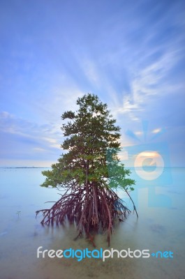 Seascape Stock Photo