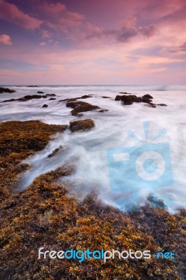 Seascape Stock Photo