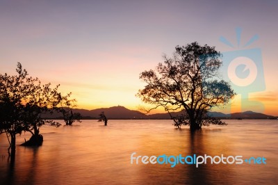 Seascape Sunset Long Exposure Technique Stock Photo