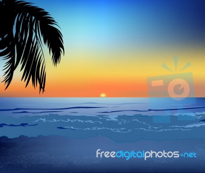 Seascape With Palm Tree Stock Image