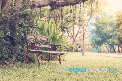 Seating Chairs In Park Stock Photo