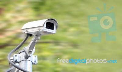 Security Camera On Blur Green Plant Background Stock Photo