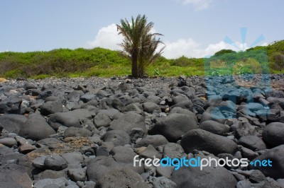 Senegal, Iles De La Madeleine Stock Photo