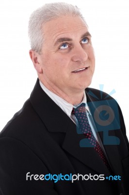 Senior Business Man Stock Photo