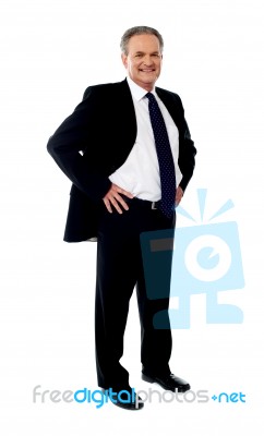 Senior Businessman Stock Photo