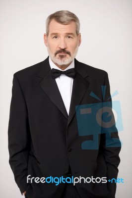 Senior Businessman In Tuxedo Stock Photo