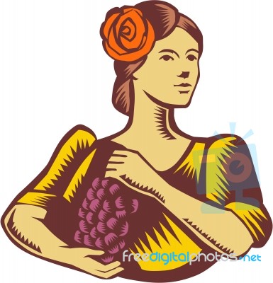 Senorita Holding Grapes Woodcut Stock Image