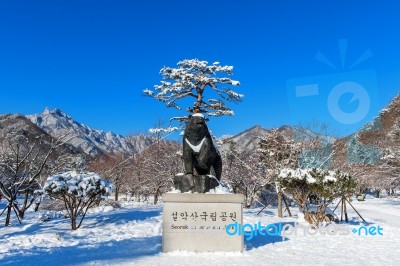 Seoraksan, Korea - February 7: Seoraksan National Park In Winter Location On Gangwon, South Korea On February 7, 2016 Stock Photo