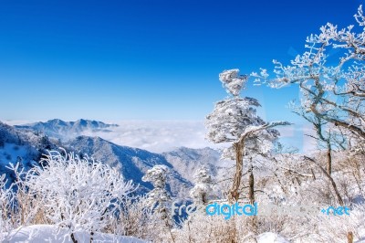 Seoraksan Mountains Is Covered By Morning Fog In Winter, Korea Stock Photo