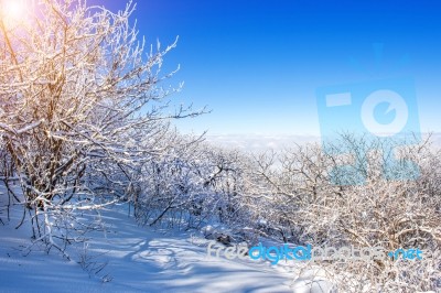 Seoraksan Mountains Is Covered By Morning Fog In Winter, Korea Stock Photo