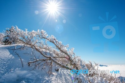 Seoraksan Mountains Is Covered By Morning Fog In Winter, Korea Stock Photo