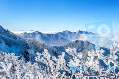 Seoraksan Mountains Is Covered By Morning Fog In Winter, Korea Stock Photo