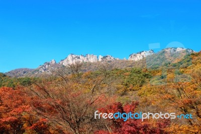 Seoraksan National Park In Autumn,korea Stock Photo