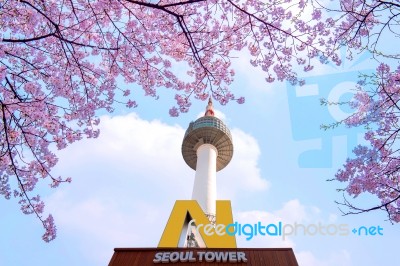 Seoul, Korea - April 9, 2015: Lotte World Amusement Park And Cherry Blossom Of Spring, A Major Tourist Attraction In Seoul, South Korea On April 9, 2015 Stock Photo