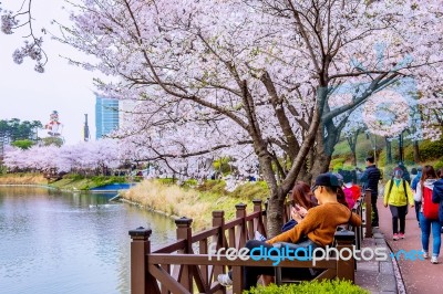 Seoul, Korea - April 9, 2015: Lotte World Amusement Park And Cherry Blossom Of Spring, A Major Tourist Attraction In Seoul, South Korea On April 9, 2015 Stock Photo