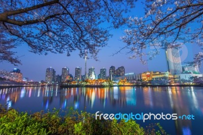 Seoul, Korea - April 9, 2015: Lotte World Amusement Park And Cherry Blossom Of Spring, A Major Tourist Attraction In Seoul, South Korea On April 9, 2015 Stock Photo