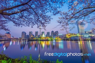 Seoul, Korea - April 9, 2015: Lotte World Amusement Park And Cherry Blossom Of Spring, A Major Tourist Attraction In Seoul, South Korea On April 9, 2015 Stock Photo