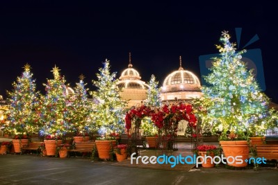 Seoul, Korea - December 21,2014: Christmas Tree Lights At Ninght In Everland. Photo Taken On December 21, 2014 In Seoul, South Korea Stock Photo