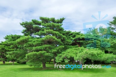 Seoul, South Korea - July 17:gyeongbokgung Palace The Best Of Attractions In Korea.photo Taken On July 17, 2015 In Seoul, South Korea Stock Photo