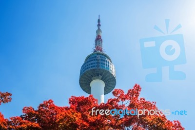 Seoul Tower And Red Autumn Maple Leaves At Namsan Mountain In South Korea Stock Photo