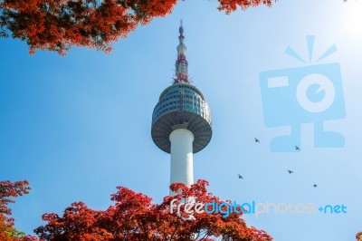 Seoul Tower And Red Autumn Maple Leaves At Namsan Mountain In South Korea Stock Photo