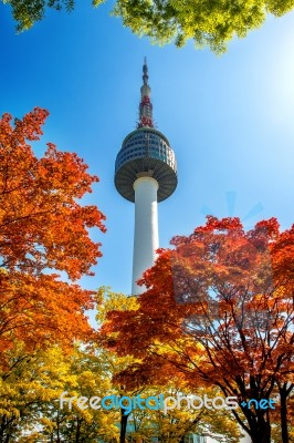 Seoul Tower And Red Autumn Maple Leaves At Namsan Mountain In South Korea Stock Photo