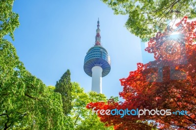 Seoul Tower And Red Autumn Maple Leaves At Namsan Mountain In South Korea Stock Photo