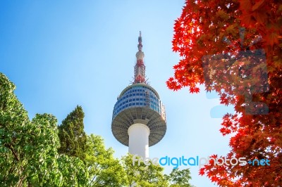 Seoul Tower And Red Autumn Maple Leaves At Namsan Mountain In South Korea Stock Photo