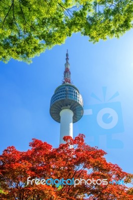 Seoul Tower And Red Autumn Maple Leaves At Namsan Mountain In South Korea Stock Photo