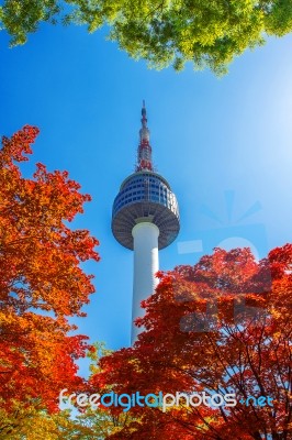 Seoul Tower And Red Autumn Maple Leaves At Namsan Mountain In South Korea Stock Photo