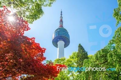 Seoul Tower And Red Autumn Maple Leaves At Namsan Mountain In South Korea Stock Photo