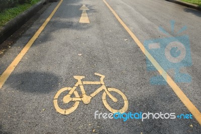 Separate Bike Lane At Side Of Road, Safety Concept Stock Photo