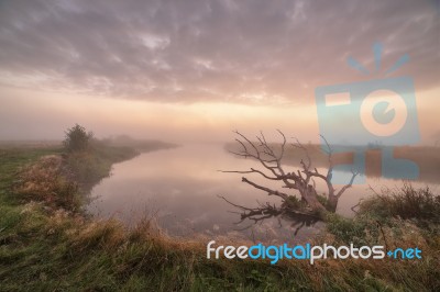 September Misty Morning On The River Neman, Belarus Stock Photo