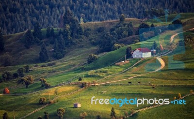 September Rural Scene In Mountains. Authentic Village And Fence Stock Photo