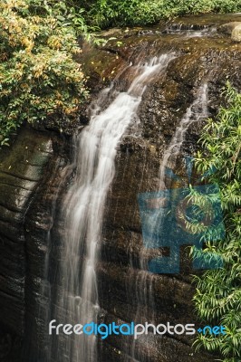 Serenity Falls In Buderim Stock Photo