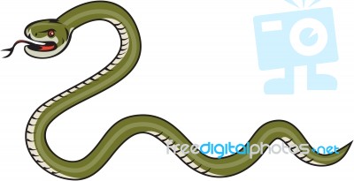 Serpent Coiling Side Isolated Cartoon Stock Image