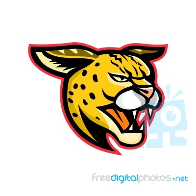 Serval Wild Cat Mascot Stock Image