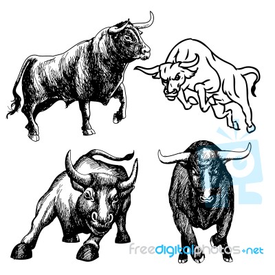 Set Of Bull Doodle Hand Drawn Stock Image