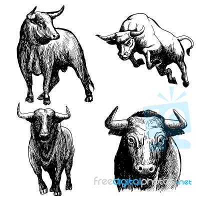 Set Of Bull Doodle Hand Drawn Stock Image