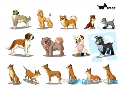 Set Of Dogs Isolated On White Background Stock Image