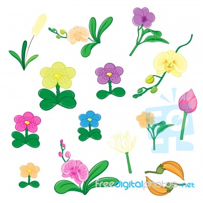 Set Of Flower On White Background Stock Image