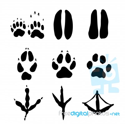 Set Of Mammals And Bids Footprints -  Illustration Stock Image