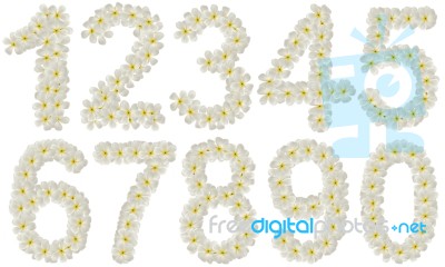 Set Of Numbers Made Of Tropical Flowers Frangipani Stock Photo