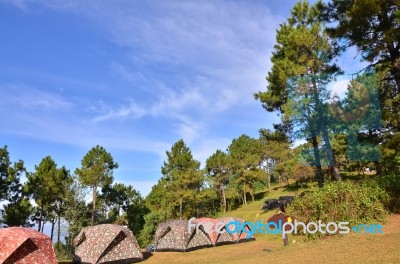 Set Up The Tent In Out Door Park Stock Photo