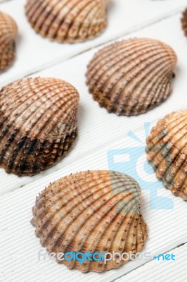 Several Clam Shells Isolated Stock Photo