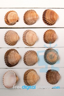 Several Clam Shells Isolated Stock Photo